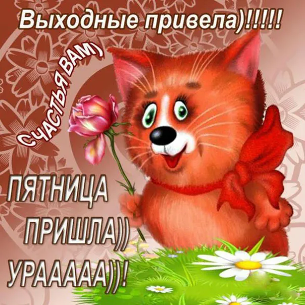 Открытка Доброе утро пятница - Котенок с ромашкой на лугу. Открытка с котенком. | Красивая открытка #10