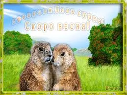Открытка День сурка - Открытка "Скоро весна!": милые сурки на лугу | Красивая открытка #24
