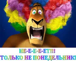 Открытка Открытки на понедельник - Львенок с клоунскими волосами: смешная открытка | Красивая открытка #170