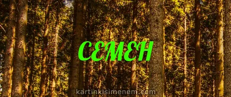 Открытка Открытки с именем Семен - Открытка с хвойным лесом и надписью | Красивая открытка #60