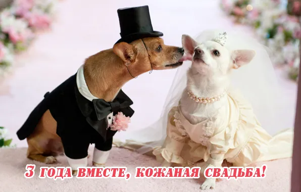 Открытка Открытки на Кожаную свадьбу 3 года - Открытка: 3 года вместе! Кожаная свадьба. | Красивая открытка #39