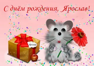 Открытка Открытки с именем Ярослав  - Открытка с мышонком, красной розой и подарком | Красивая открытка #46