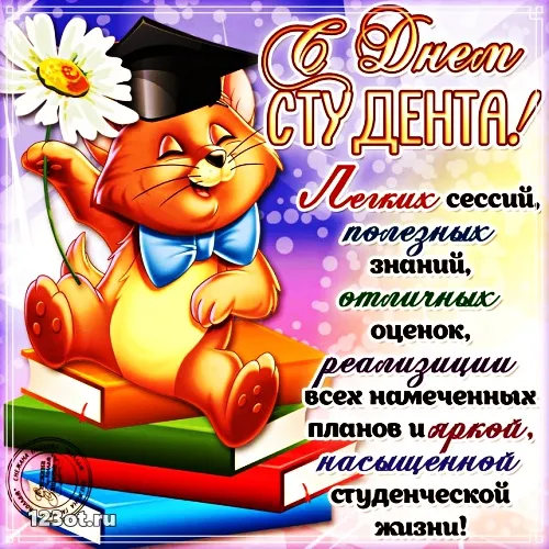 Открытка Открытки с днем студента - Открытка с котенком на экзамене | Красивая открытка #109