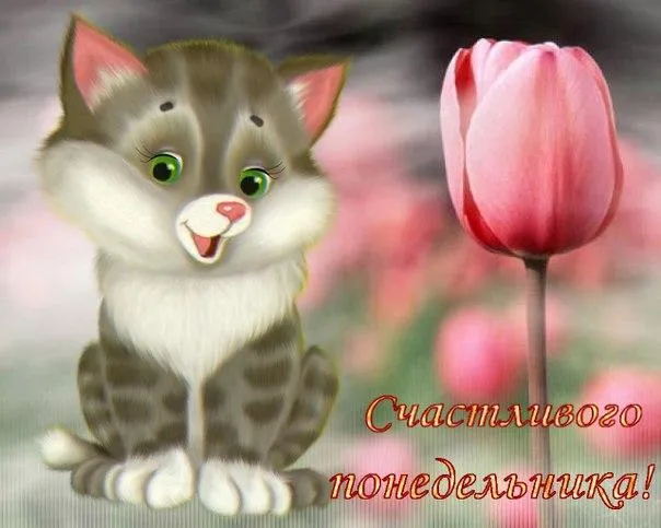 Открытка Удачного понедельника - Открытка с котенком и тюльпанами | Красивая открытка #52