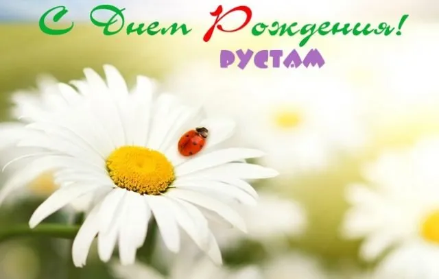 Открытка Открытки с именем Рустам - Белое соцветие с божьей коровкой. | Красивая открытка #200