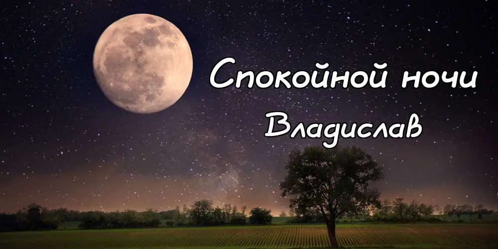 Открытка открытки с именем Владислав  - Ночное небо, луна, поле, деревья. Открытка | Красивая открытка #111