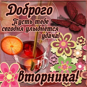 Открытка Доброе утро вторник - Открытка с цветами, апельсином и вином | Красивая открытка #12