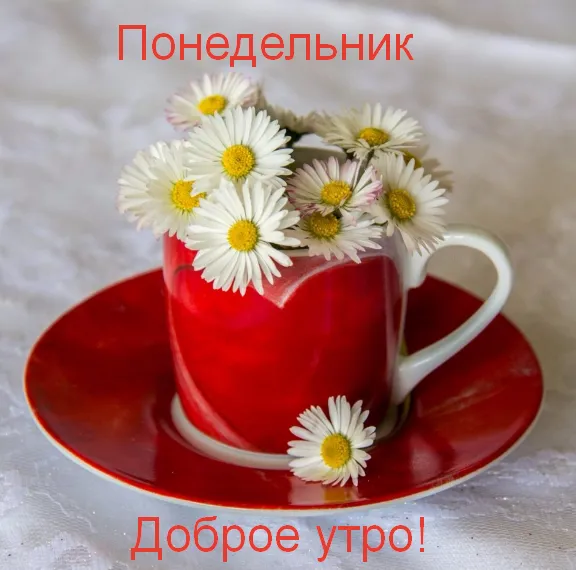Открытка Доброе утро понедельник - Доброе утро в чашке цветов | Красивая открытка #30
