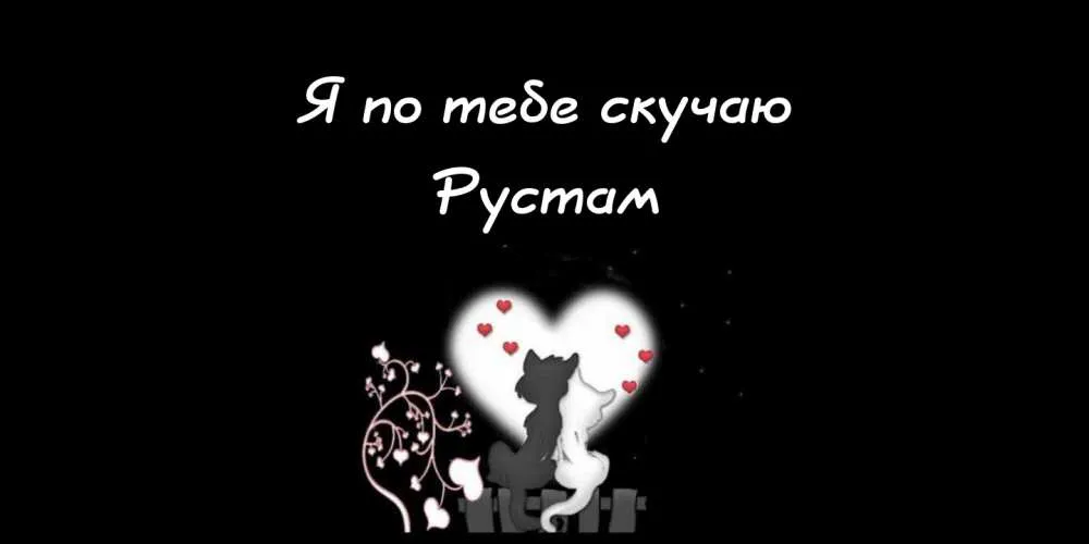 Открытка Открытки с именем Рустам - Открытка с черным и белым котами | Красивая открытка #22