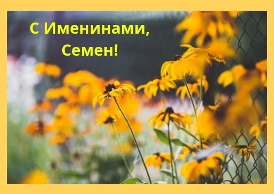 Открытка Открытки с именем Семен - Полевые цветы. Открытка с подсолнухами. | Красивая открытка #166