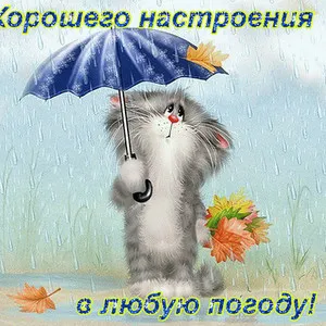 Открытка хорошего настроения - Котенок под зонтом с осенними листьями. Открытка | Красивая открытка #28