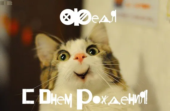 Открытка Открытки с именем Федор - С Днём Рождения! Открытка с котиком | Красивая открытка #252
