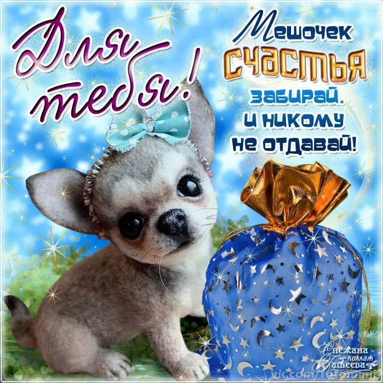 Открытка День счастья - Щенок с подарком: праздничная открытка | Красивая открытка #29