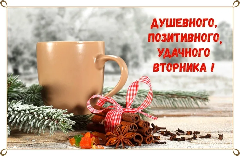 Открытка С вторником - Новогодняя открытка: специи, апельсин, ель | Красивая открытка #29