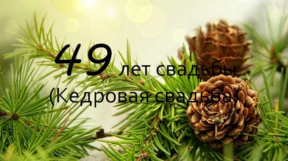 Открытка Открытки на Кедровую свадьбу 49 лет - Открытка с сосновыми ветками и шишками | Красивая открытка #2