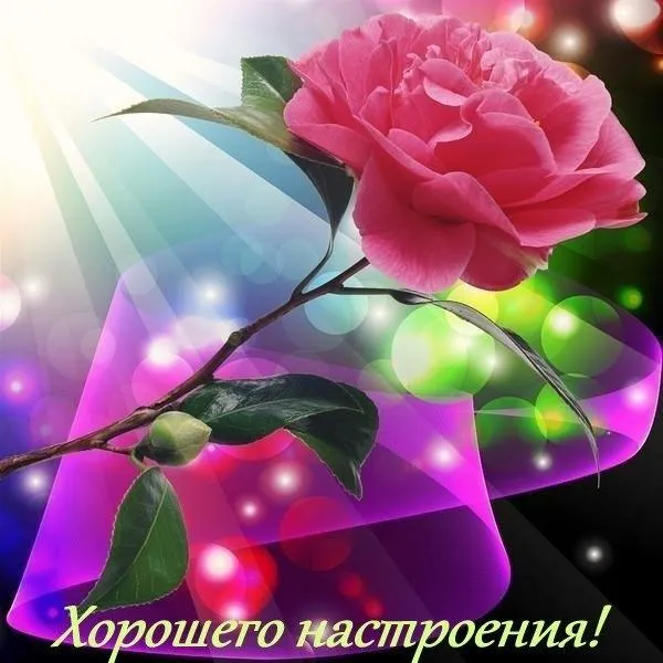 Открытка Для хорошего настроения - Розовая роза на фоне света: открытка с днем рождения | Красивая открытка #29