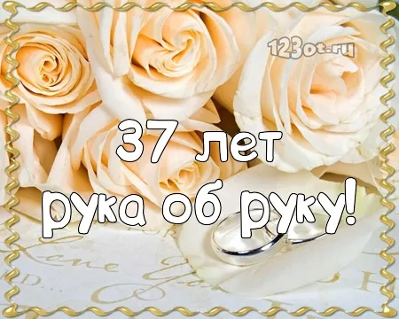 Открытка Открытки на Алюминиевую свадьбу 37 лет - Открытка с розами и надписью "37 лет" | Красивая открытка #31