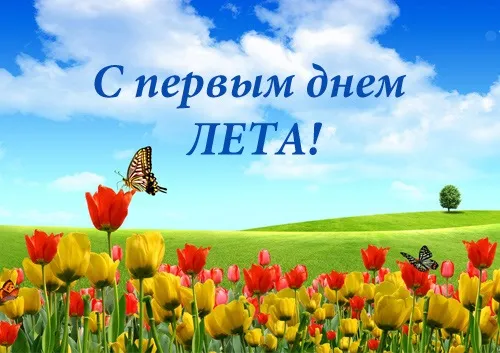 Открытка С первым днём лета - Яркая открытка с тюльпанами и бабочками | Красивая открытка #41