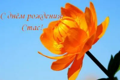Открытка Открытки с именем Станислав  - Яркий апельсиновый цветок на фоне голубого неба | Красивая открытка #138