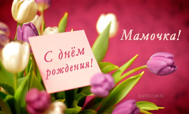 Открытка С Днем Рождения мамочке! - Открытка с тюльпанами: С днем рождения! | Красивая открытка #14