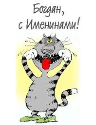 Открытка открытки с именем Богдан - Забавная открытка с серым котом | Красивая открытка #128