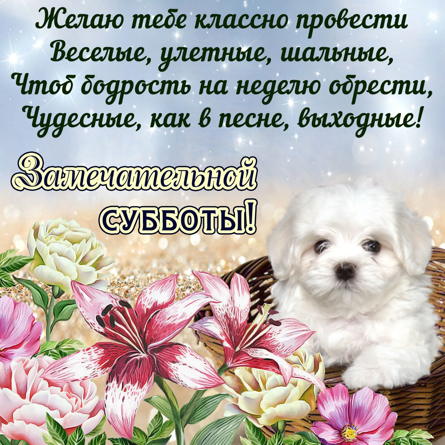 Открытка Открытки на субботу - Открытка с щенком и цветами | Красивая открытка #28