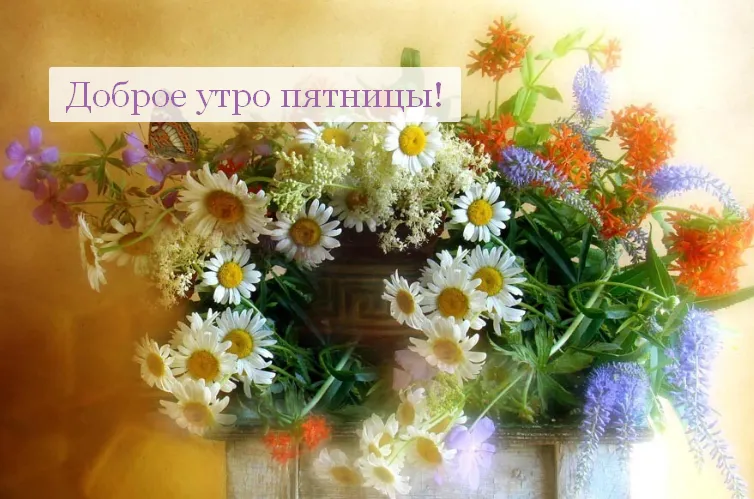 Открытка Доброе утро пятница - Полевые цветы: нежная открытка с ромашками и васильками | Красивая открытка #12
