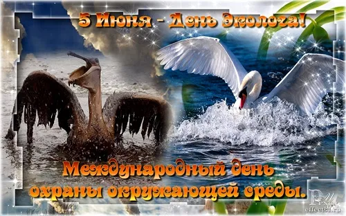 Открытка Открытки с днем эколога - Международный день охраны природы: пеликан | Красивая открытка #39