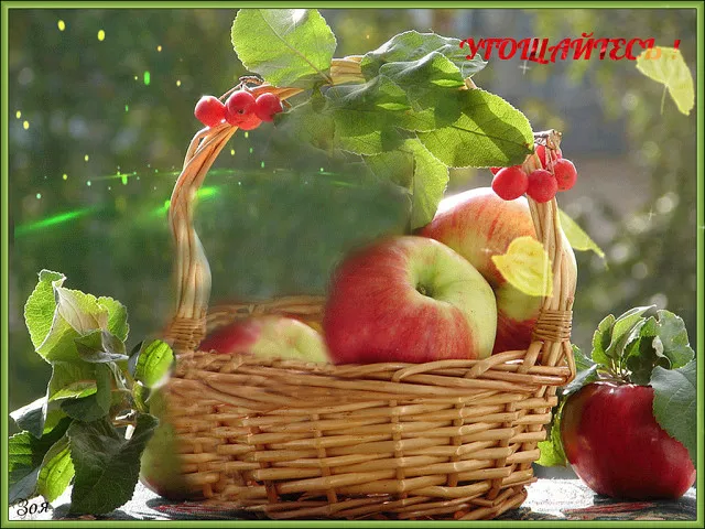 Открытка С ягодами - Корзина с яблоками и ягодами | Красивая открытка #35