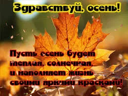 Открытка Первый день осени - Осенние листья: яркие цвета и красота природы | Красивая открытка #84