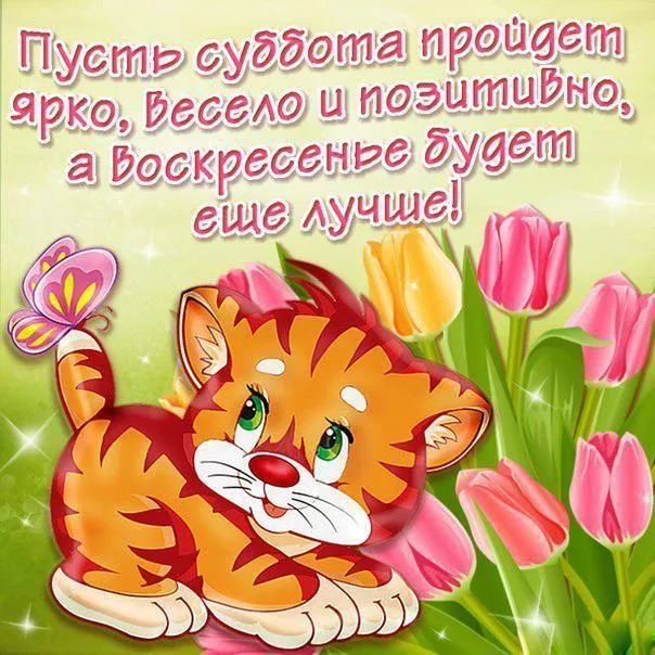Открытка Выходные - Игривый тигренок и яркие цветы: поздравительная открытка | Красивая открытка #67