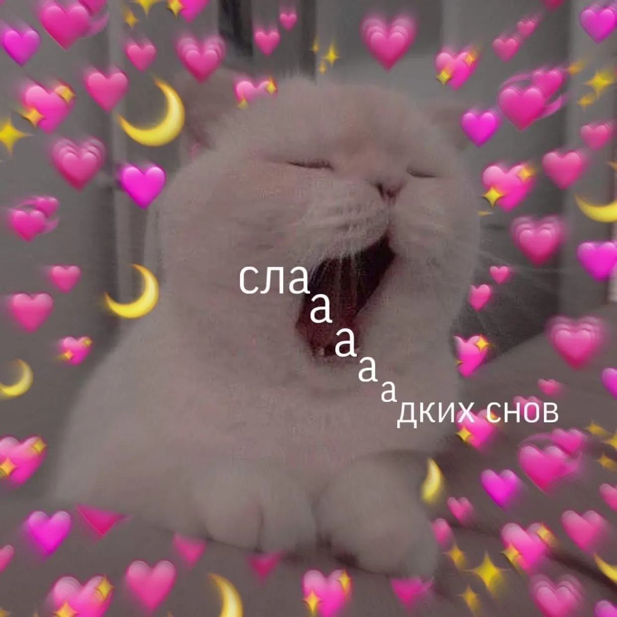 Открытка Сладких снов - Котенок, сердечки и лунный свет: Открытка | Красивая открытка #17
