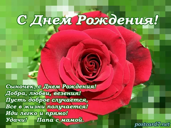 Открытка С днем рождения для сына - Открытка с днем рождения: Красная роза | Красивая открытка #52