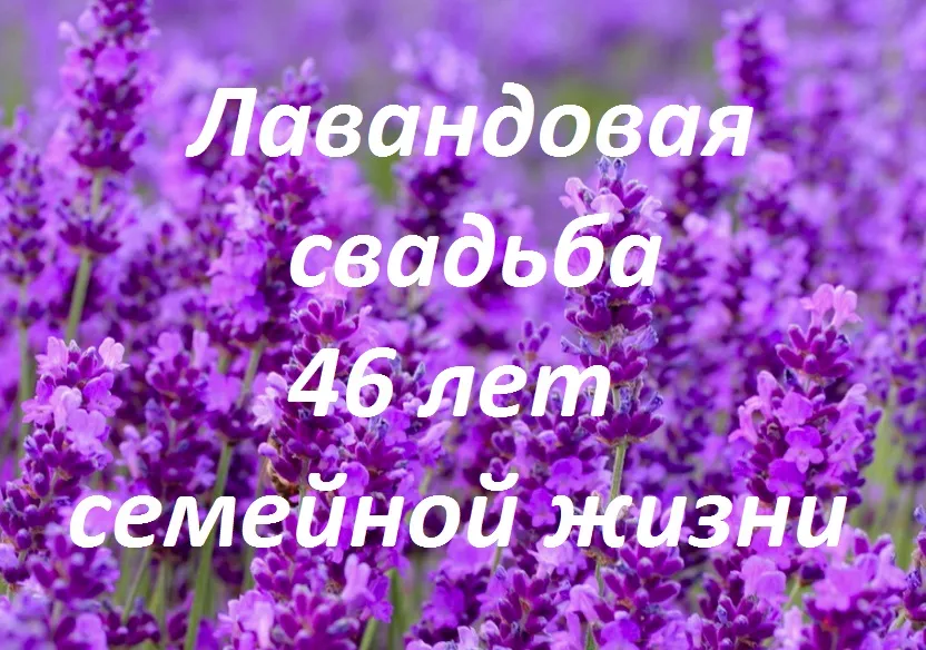 Открытка Открытки на Лавандовую свадьбу 46 лет - Лавандовое поздравление с юбилеем: 46 лет семейной жизни | Красивая открытка #1