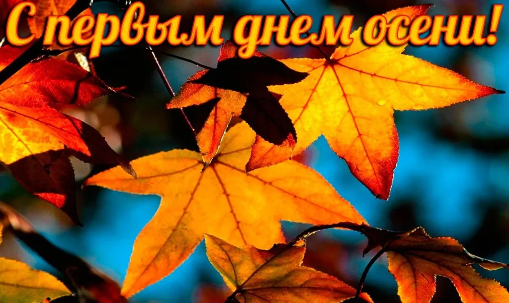 Открытка С первым днём осени - Красивые осенние листья: фото, открытки | Красивая открытка #24