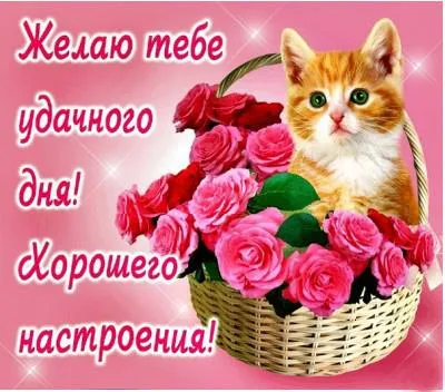 Открытка Хорошего дня - Открытка с котенком и розами | Красивая открытка #50