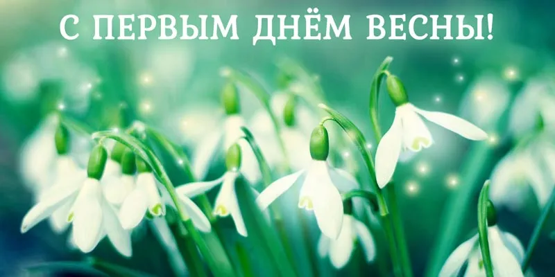 Открытка  С первым днем весны - Подснежники: Весенняя открытка с первыми цветами | Красивая открытка #87