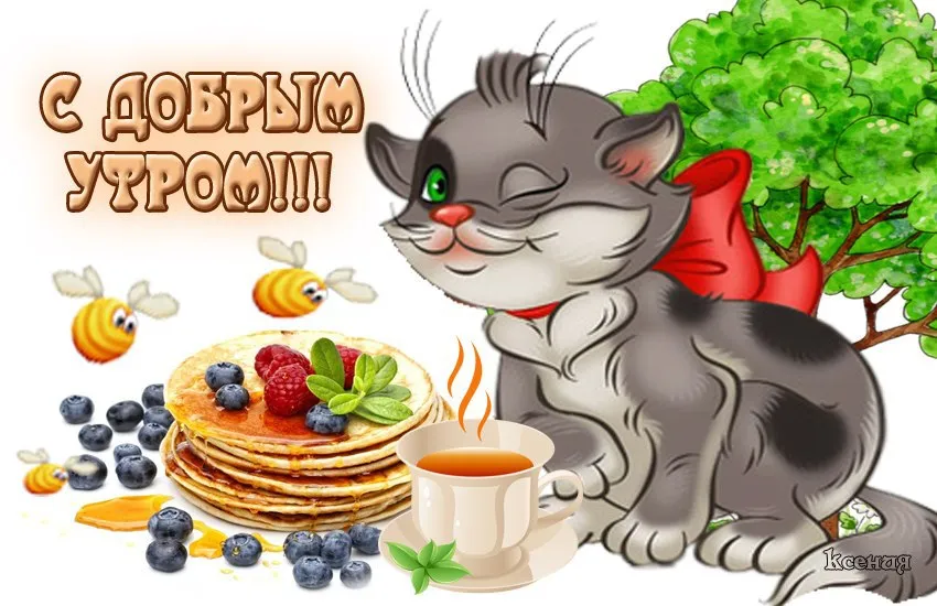 Открытка Доброе утро - Открытка с котом, блинами и чаем | Красивая открытка #539