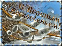 Открытка открытки с вербным воскресеньем  - Верба на фоне неба: пасхальная открытка | Красивая открытка #127