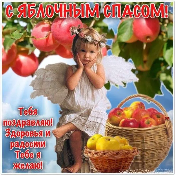 Открытка Яблочный спас - Открытка с девочкой и яблоками: поздравления и радость | Красивая открытка #146