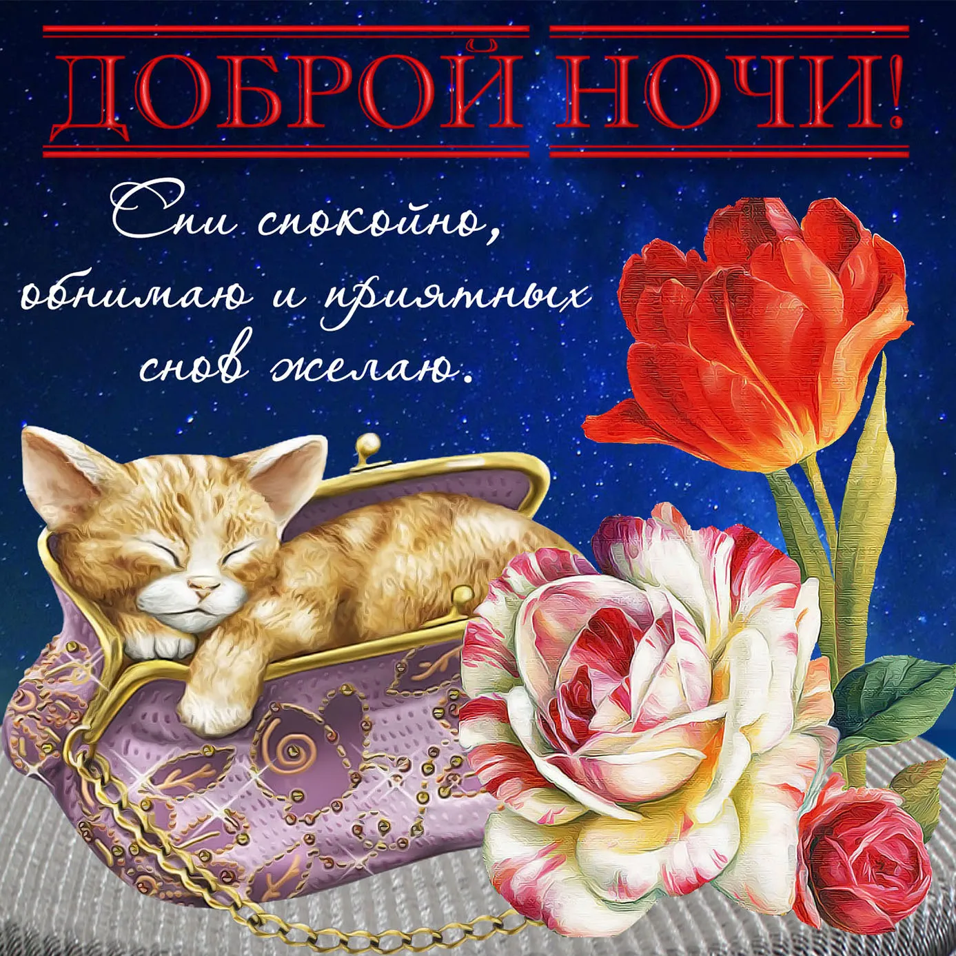 Открытка Спокойной ночи - С Днём Рождения! Красивая открытка с котиком | Красивая открытка #84