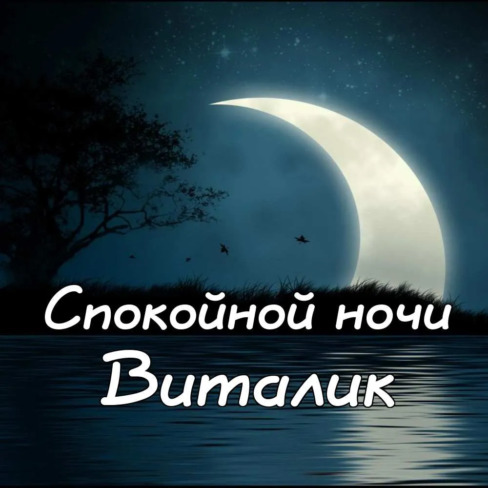 Открытка открытки с именем Виталий - Открытка: Ночное небо, луна, силуэт деревьев | Красивая открытка #67