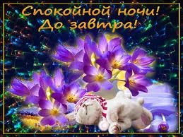 Открытка Спокойной ночи - Зайчик спит среди фиалок | Красивая открытка #250
