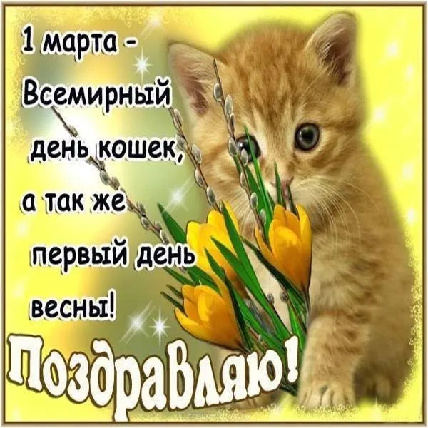 Открытка С Всемирным днём кошек - Я  котенок с подснежниками. Открытка с 1 марта. | Красивая открытка #31