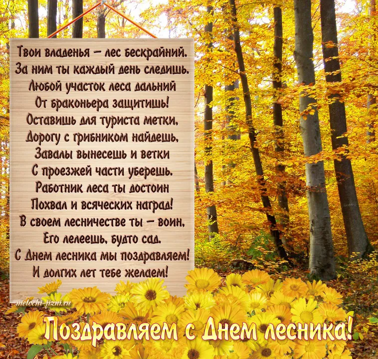 Открытка С днём работника леса - Поздравления с Днём Лесника: Красивая открытка с осенним лесом | Красивая открытка #43