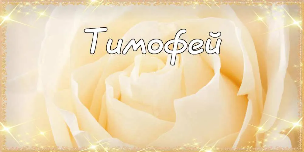 Открытка Открытки с именем Тимофей - Открытка с белыми цветами | Красивая открытка #118
