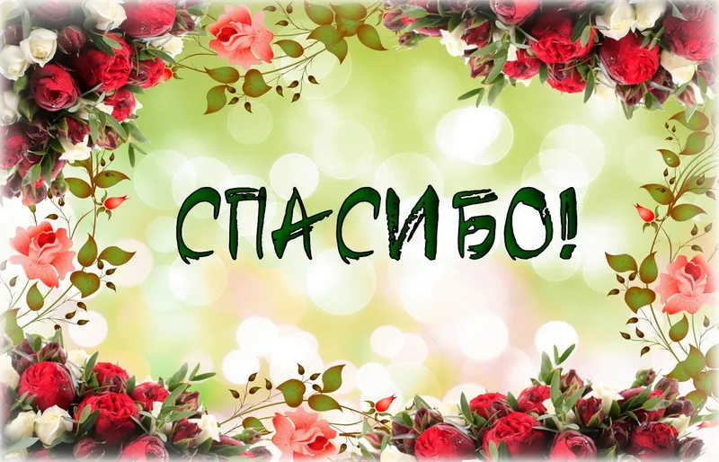 Открытка Спасибо - Открытка с цветами и надписью "Спасибо" | Красивая открытка #129