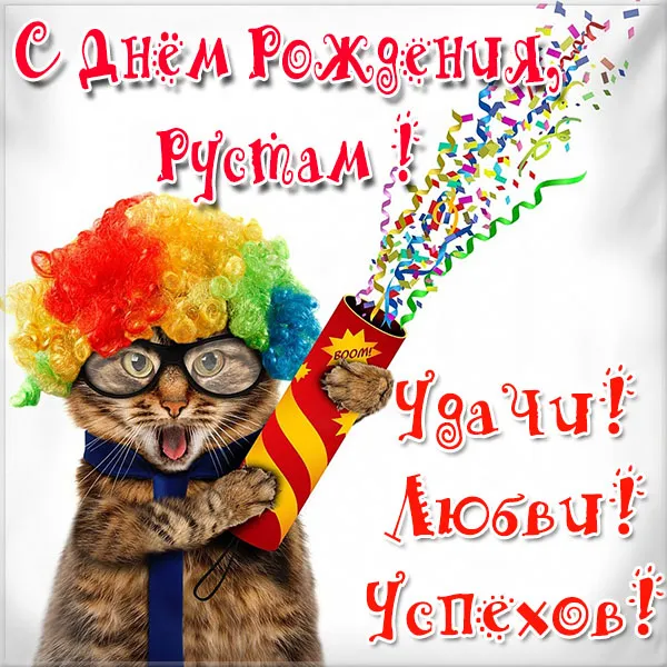 Открытка Открытки с именем Рустам - Котенок с хлопушкой: Открытка с Днем Рождения | Красивая открытка #207