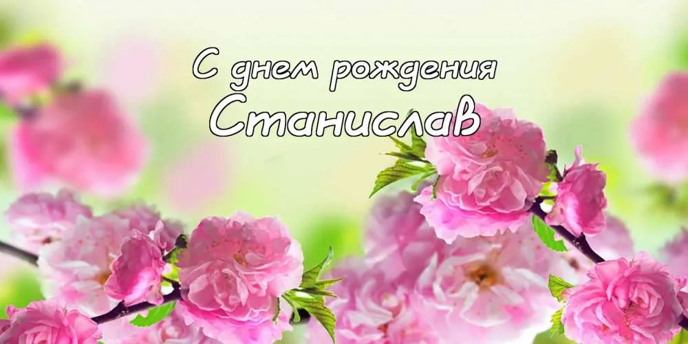Открытка Открытки с именем Станислав  - Открытка: Цветущая сакура | Красивая открытка #221