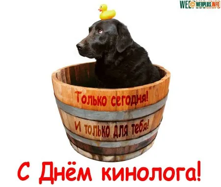 Открытка День кинолога - Открытка: Пудель в бочке с уточкой | Красивая открытка #2